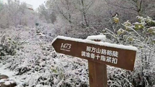 韩系大病初愈？东风悦达起亚9月增幅超80%