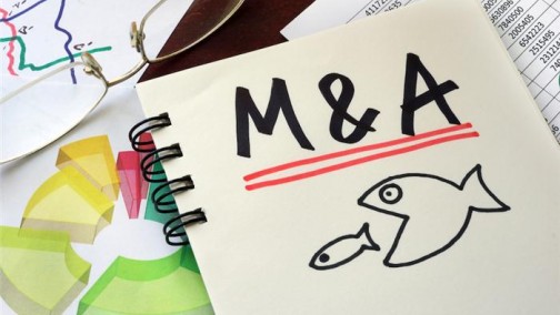 永安行参股公司发布收购Hellobike，Hellobike创始人回复：不是真的