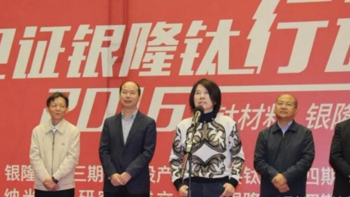 河北一汽车厂被曝骗补近亿 董明珠万达均有股份
