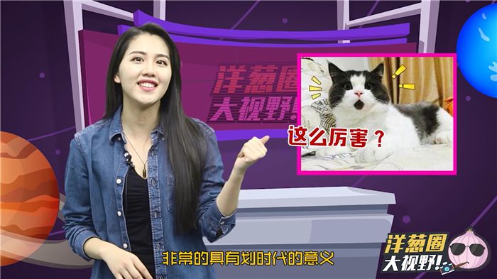 特斯拉,奥迪 特斯拉,奥迪