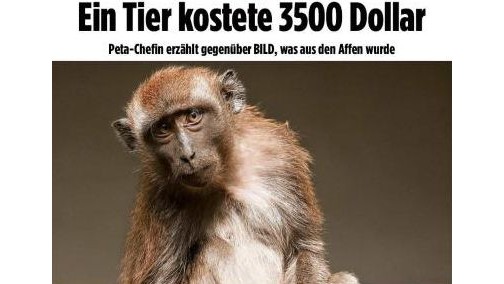 尾气造假到“猴子实验”丑闻，大众CFO反省商业伦理“病根”