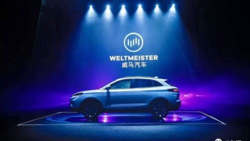 造车新势力雪藏多少马和兽？拉出来溜溜！