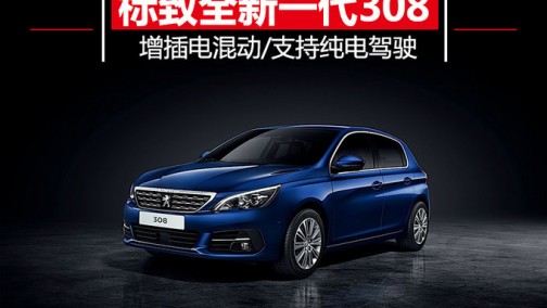 标致将推出全新一代308 尺寸增加/配插混系统