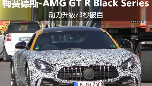 梅赛德斯-AMG将推GT R特别版 动力升级/3秒破百