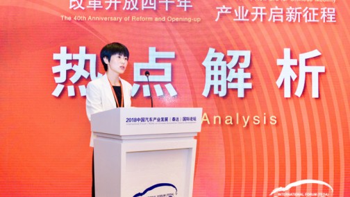 中国石化润滑油北京研究院副院长 雷凌 2018泰达论坛 会上发言