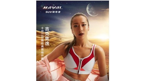 明星助阵 哈弗大营wey你点燃激情