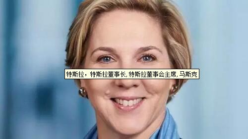 特斯拉，特斯拉董事长,特斯拉董事会主席,马斯克