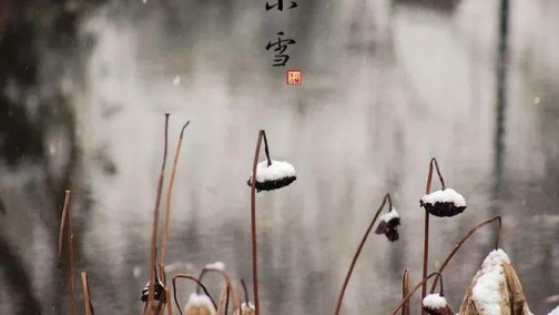 小雪冻得瑟瑟发抖？你需要这辆移动城堡