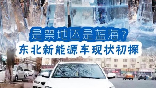 是禁地还是蓝海？东北新能源车现状初探