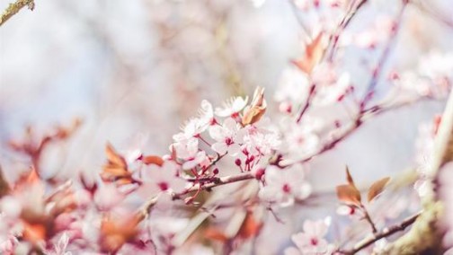 2019款哈弗H7钜惠来袭，当下提车正当时！