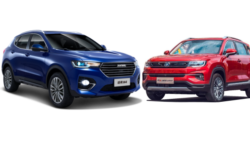 港真！想要踏青 “出游神器”可不能少