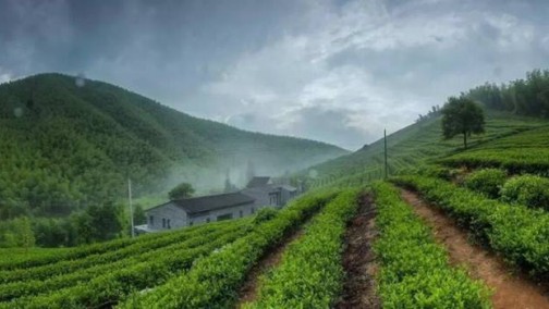 挑战肾上腺素极限 携哈弗H9一同征服莫干山