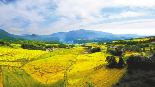 无论节气如何轮回，哈弗H6运动版始终呵护如一