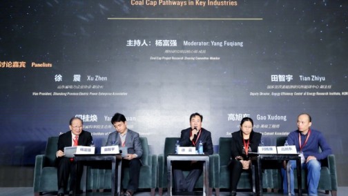 煤控&ldquo;十三五&ldquo; 地方落实是关键