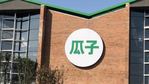 杨浩涌：瓜子的第二颗“钉子”