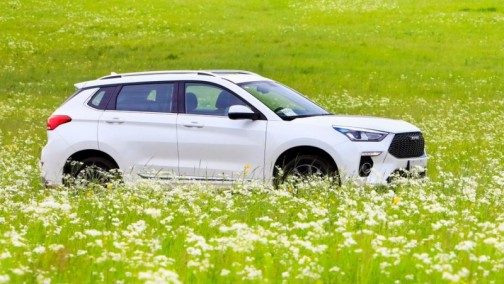 走亲串友最受欢迎的竟然是它 你入手了吗？