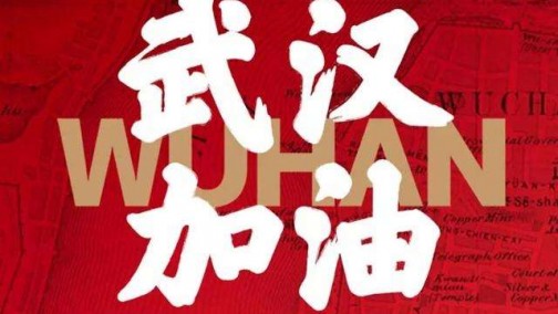 驰援武汉，理想汽车捐款200万元用于防疫