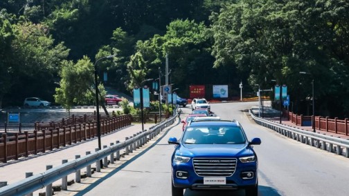 新“流量”时代，车圈主播靠TA出位？极速涨粉300万