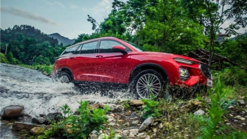 拼命自救的海马，希望渺茫的生路